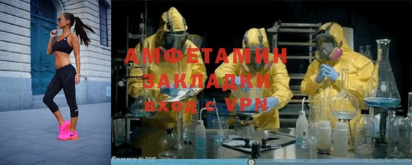 молекула духа Пересвет