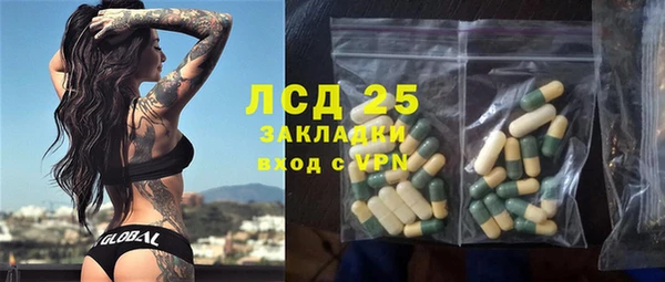 PSILOCYBIN Костерёво