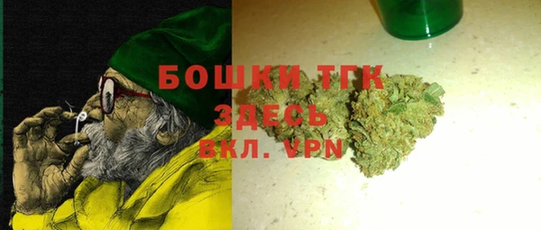 трава Коряжма