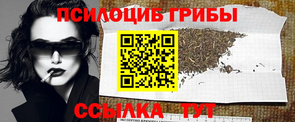 Псилоцибиновые грибы Psilocybine cubensis  Вход с VPN  Красный Сулин 