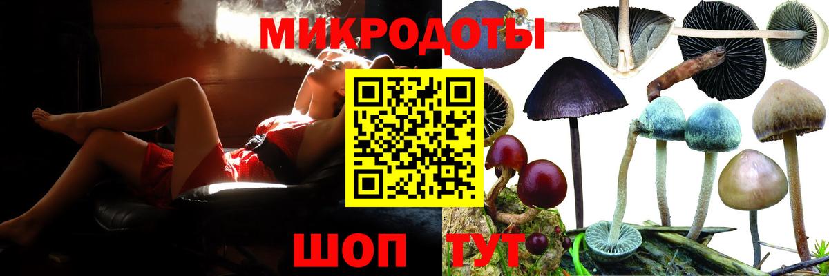 Галлюциногенные грибы Cubensis Красный Сулин